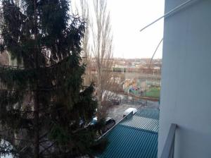 Фотография Сафари 2